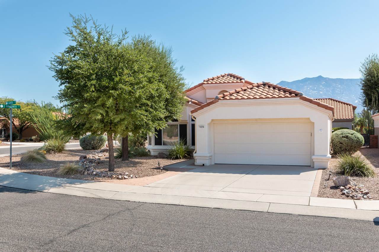14370 Caryota Way - Photo 1