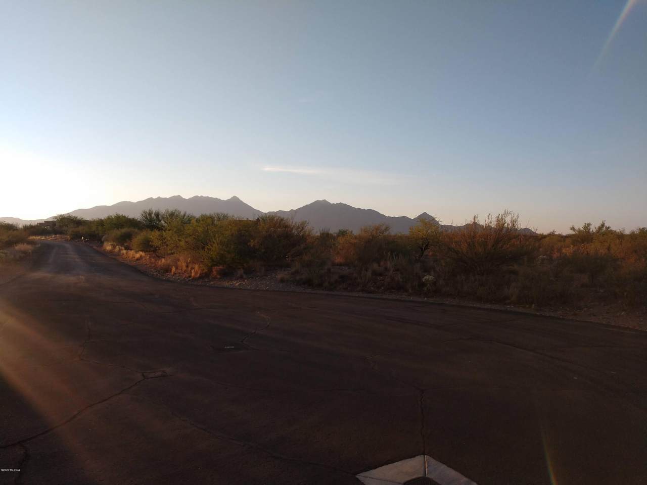 3209 Corte Amarilla - Photo 1