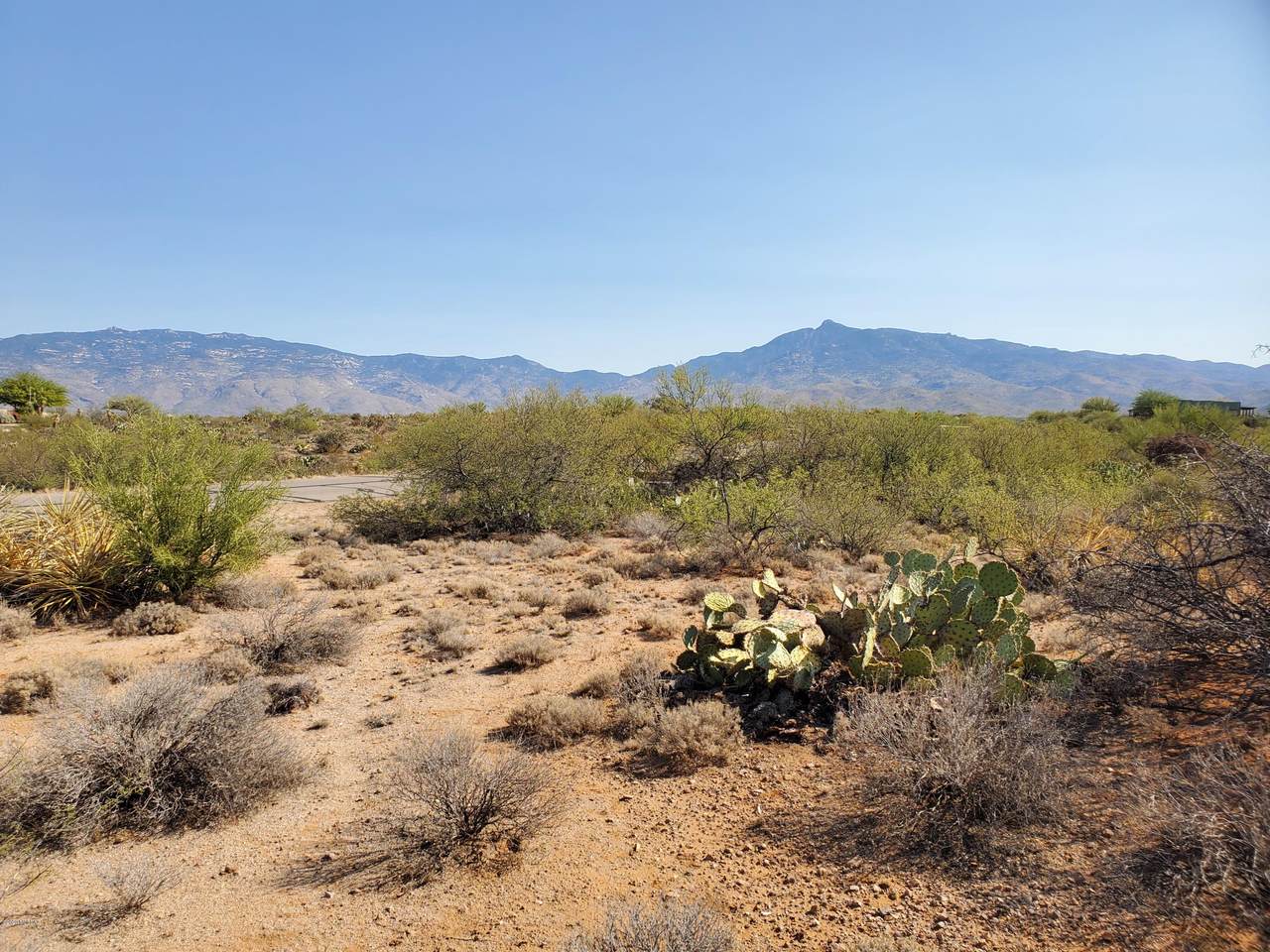 9485 Old Soldier Trail - Photo 1
