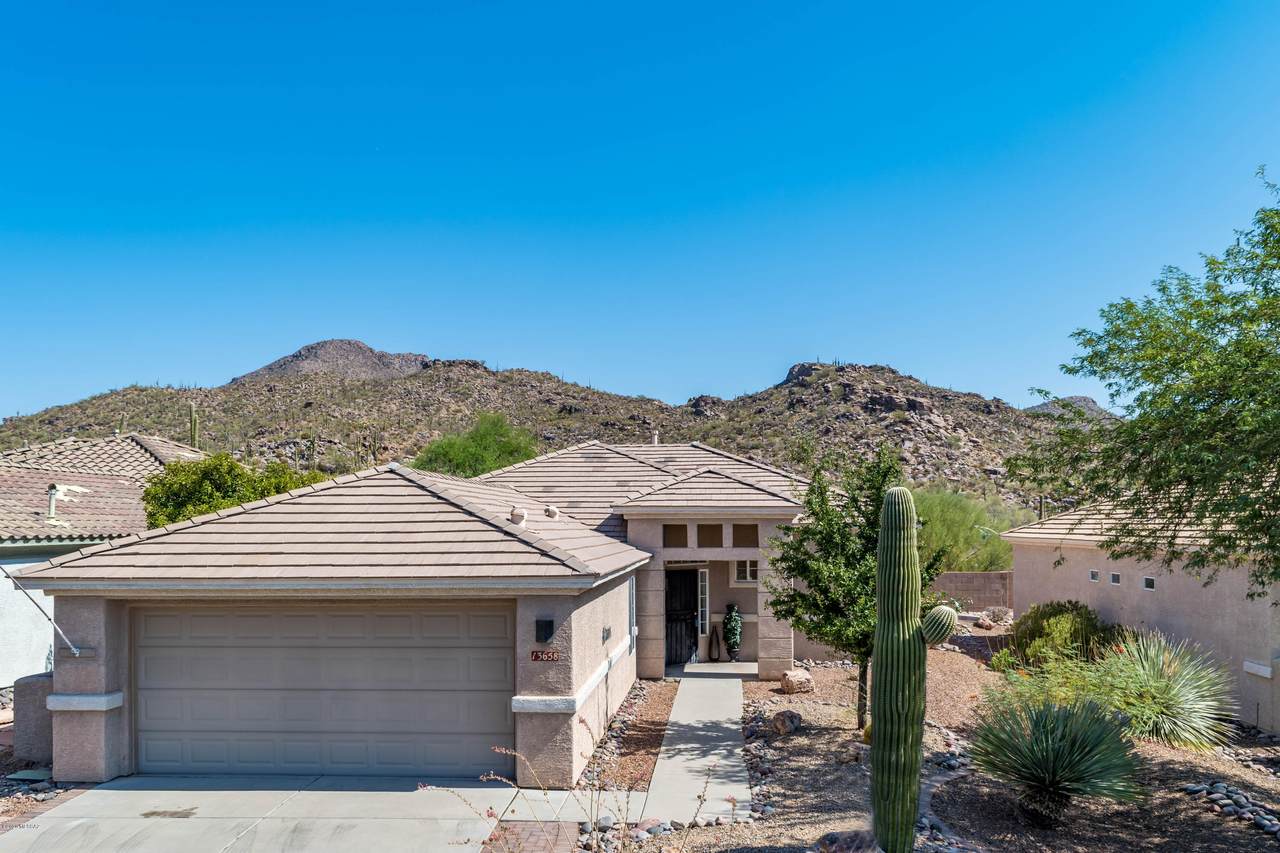 13658 Holly Grape Drive - Photo 1