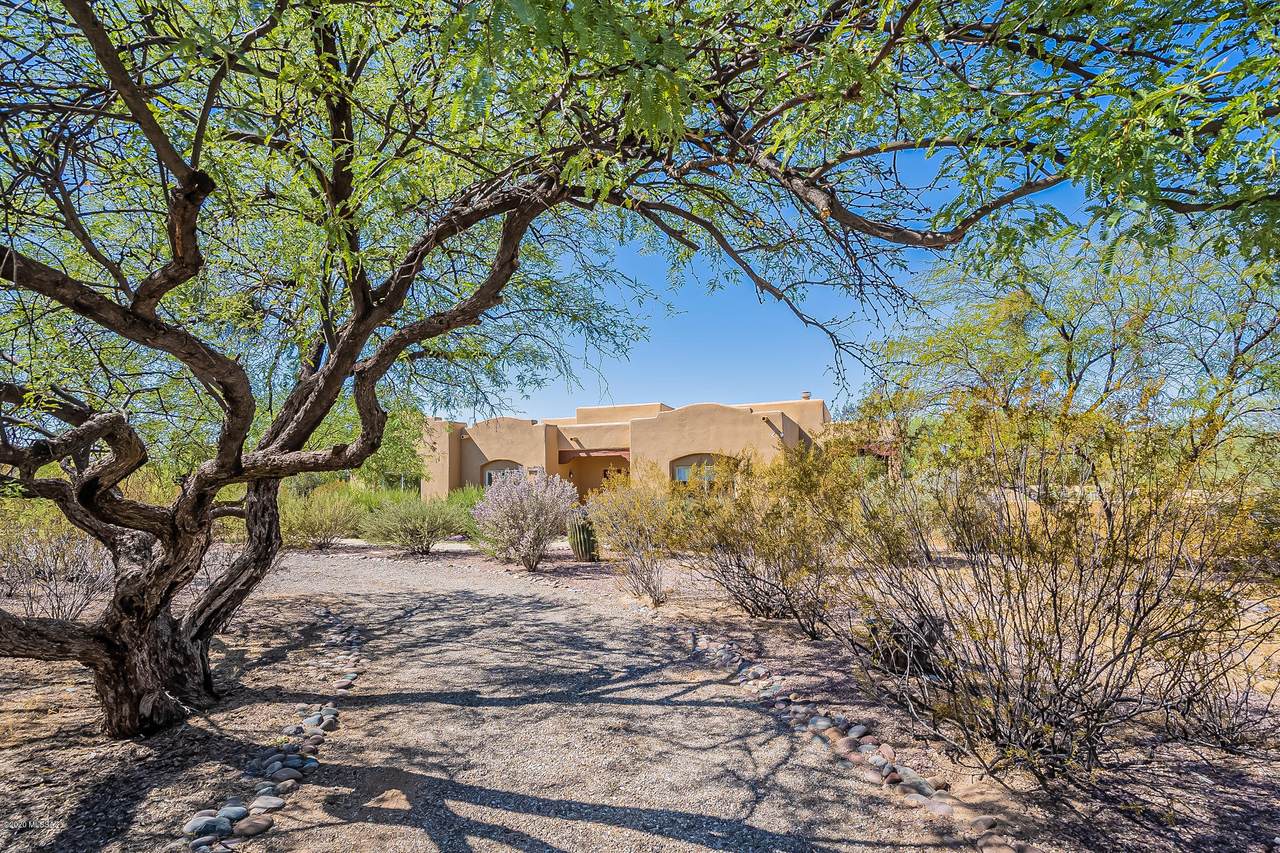 11640 Calle Del Rincon - Photo 1