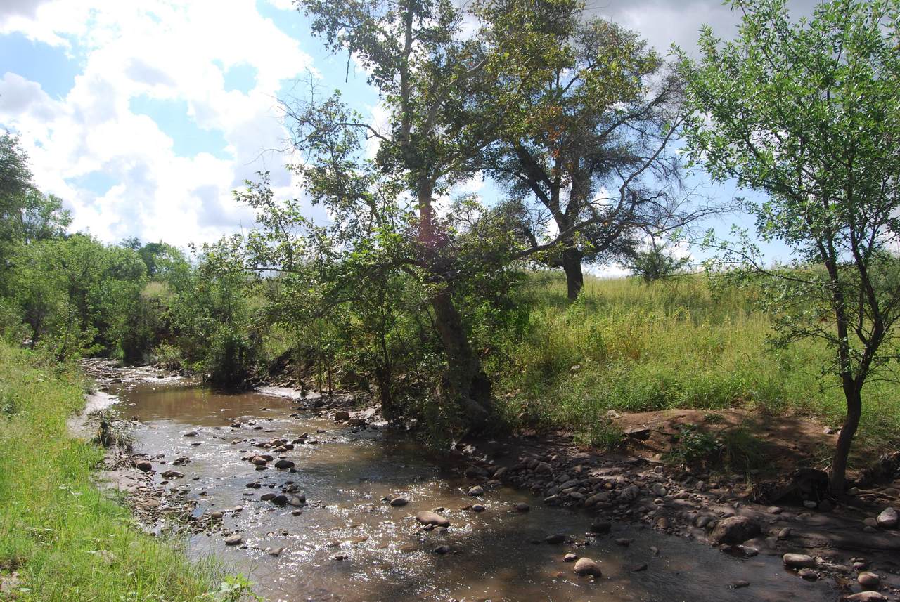 Turkey Creek Road - Photo 1