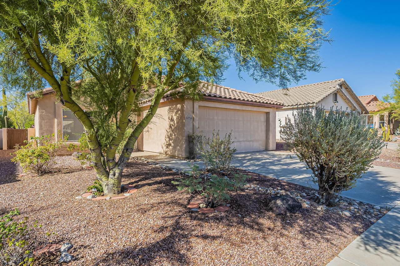 12719 N Blue Sage Drive - Photo 1