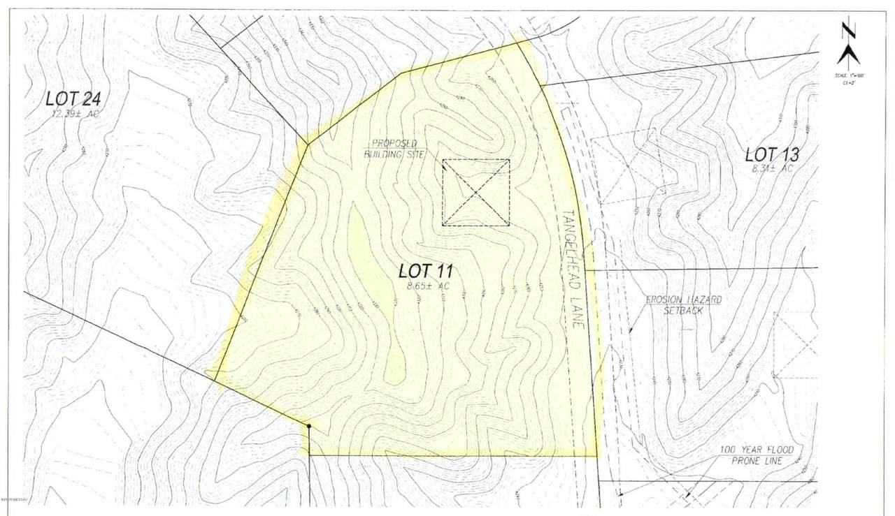 Lot 11 Tanglehead Lane - Photo 1