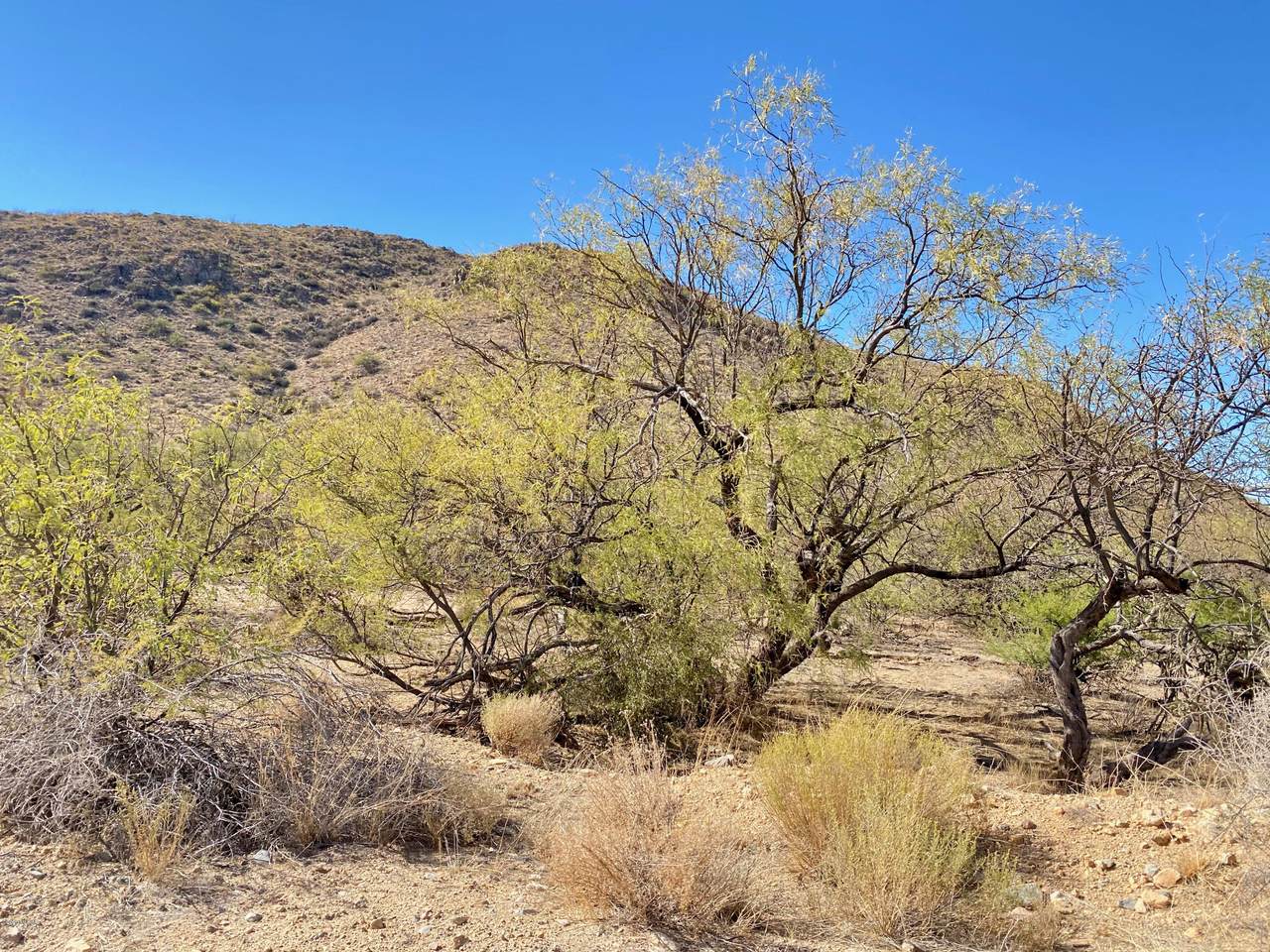 0 Sierrita Mountain Road - Photo 1