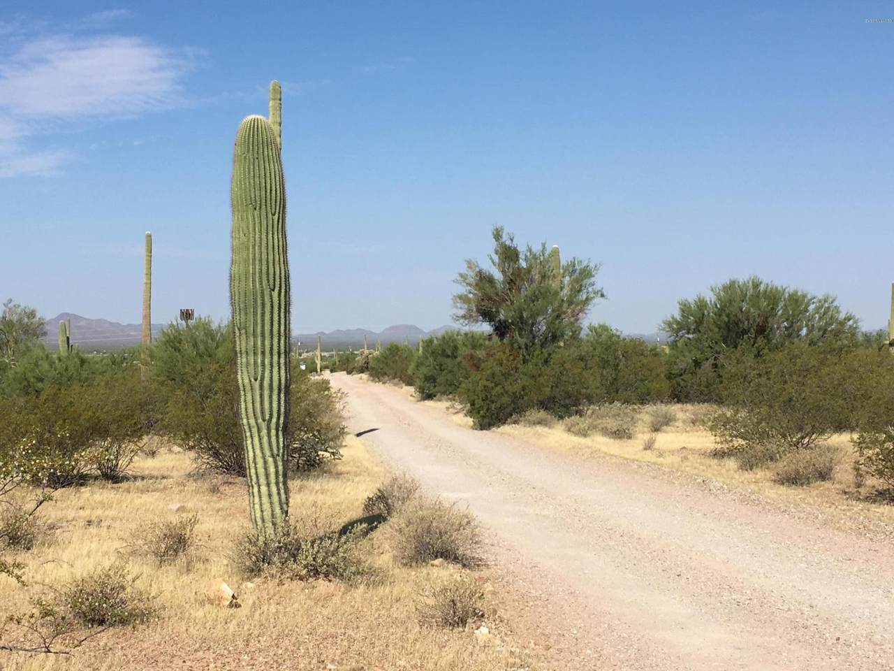 1650 Sandario Road - Photo 1