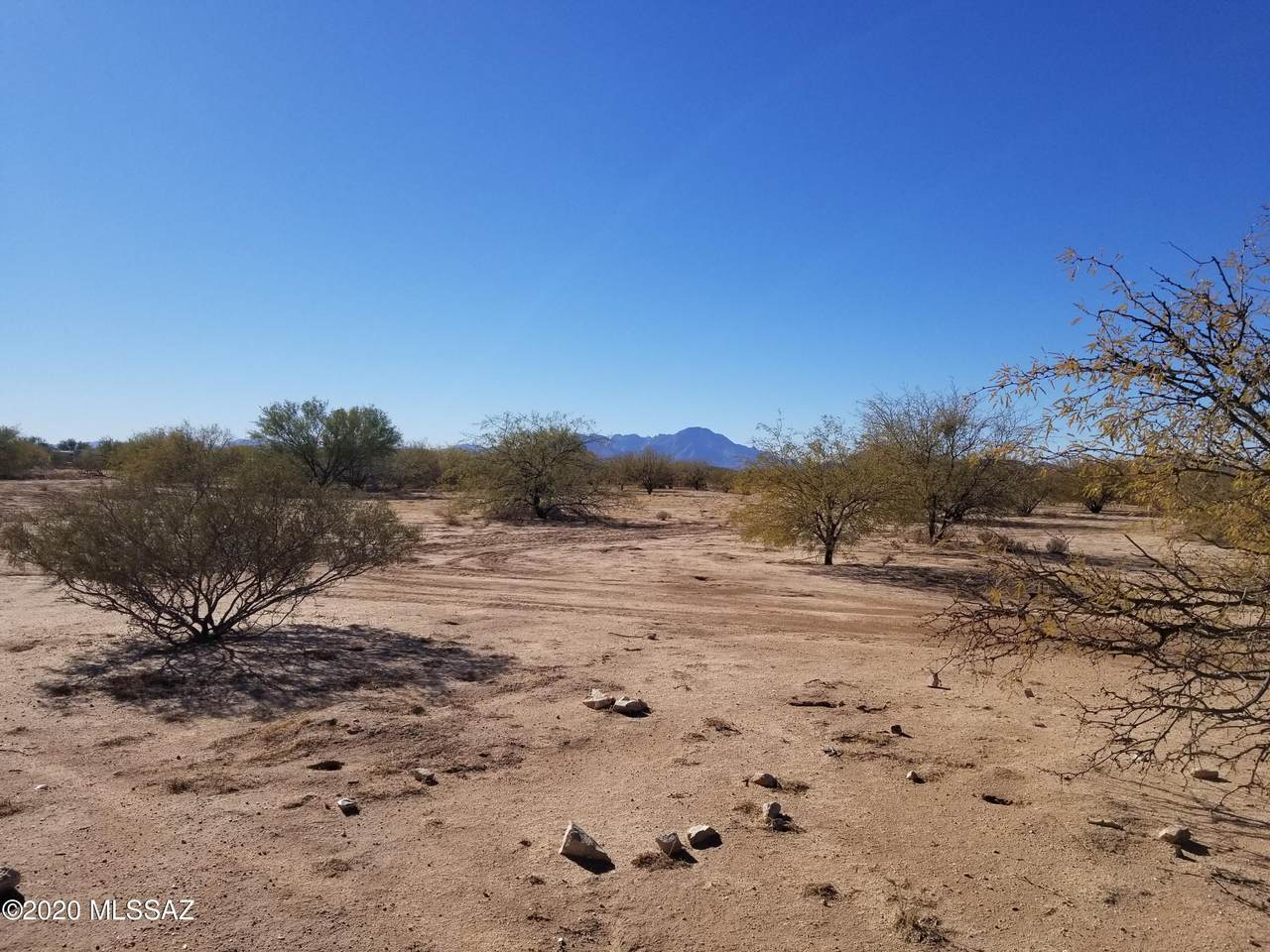 9038 Honeysuckle Farm Trail - Photo 1