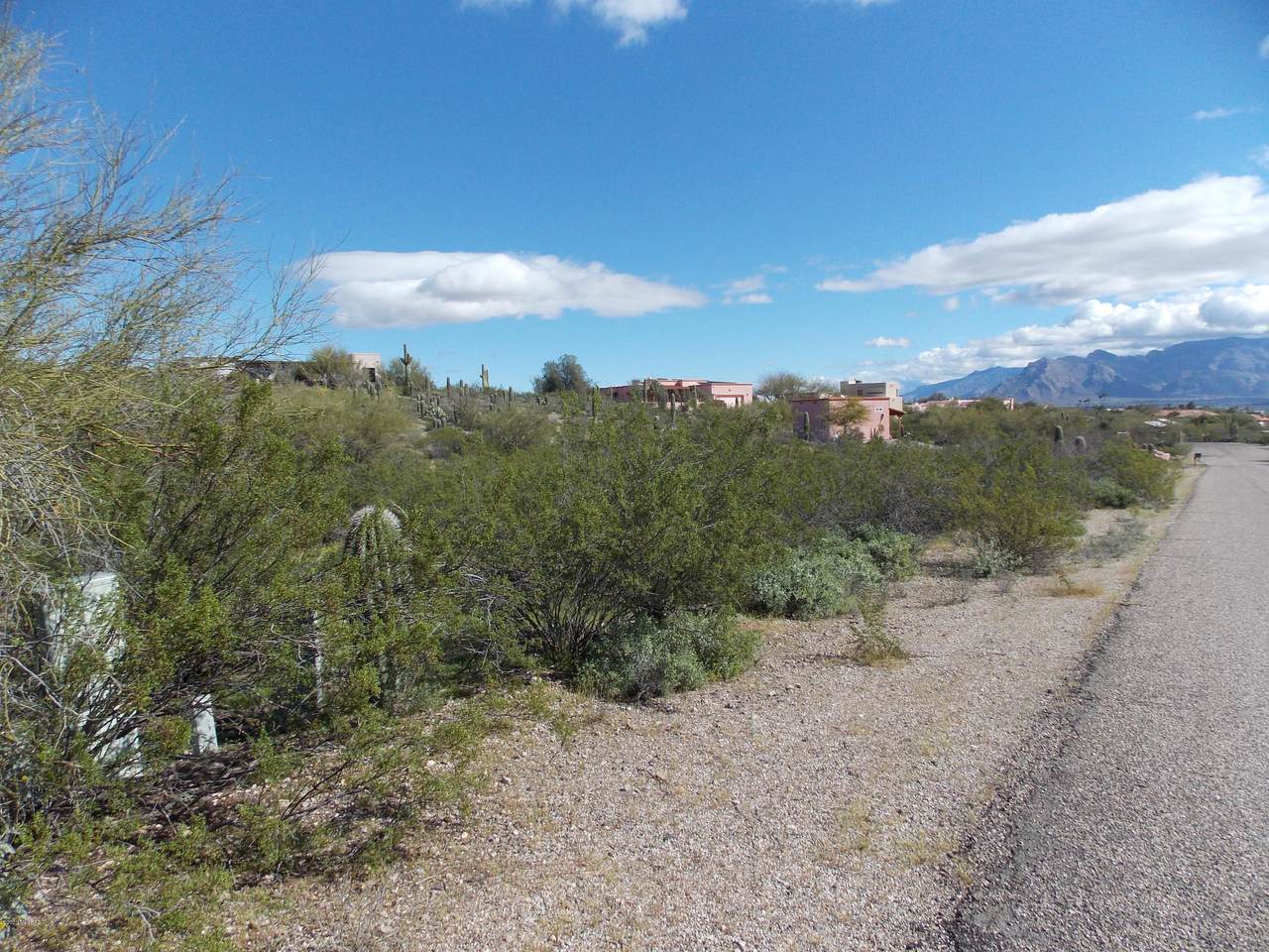4860 Placita Del Quetzal - Photo 1