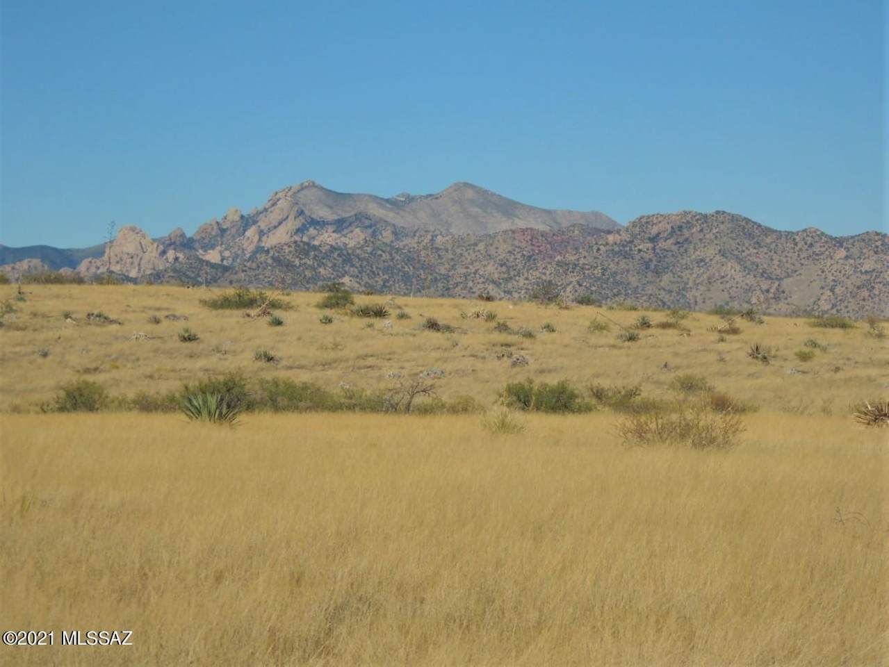 TBD Willow Springs Lane - Photo 1