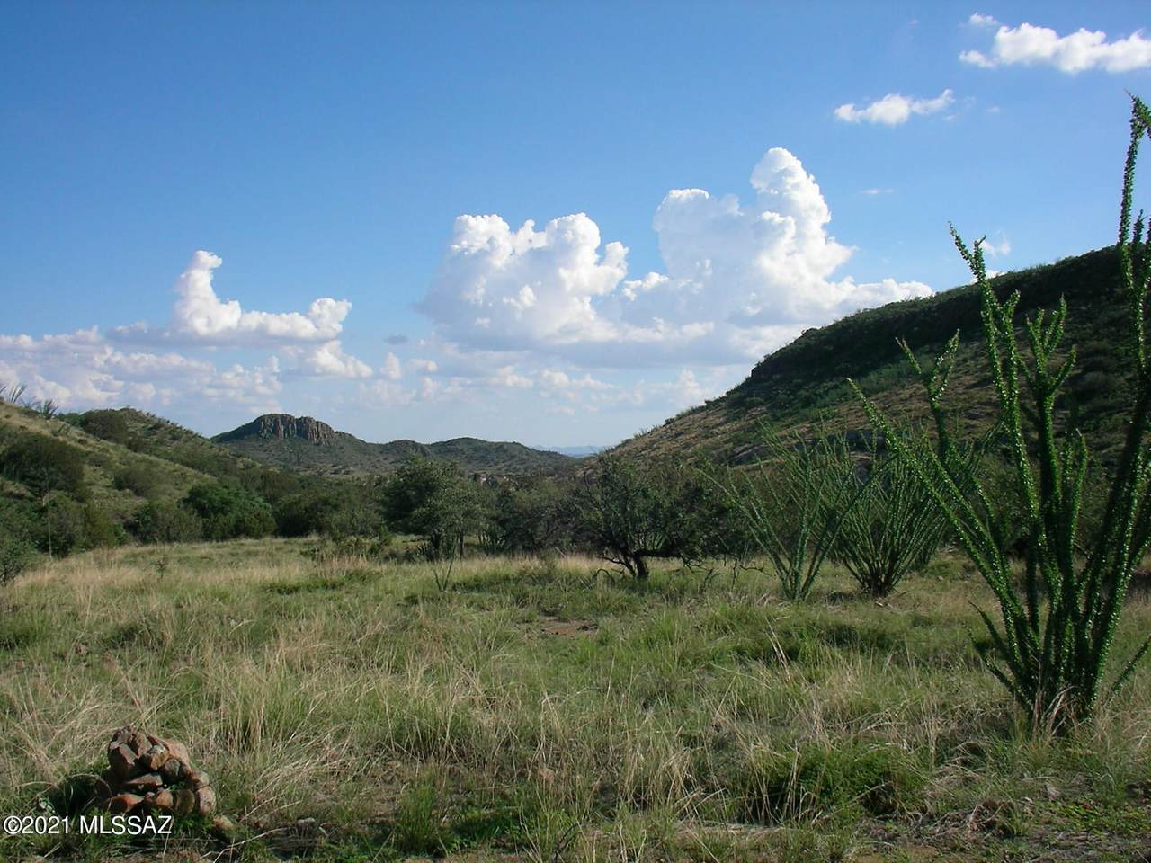 TBD Montezuma Well Road - Photo 1