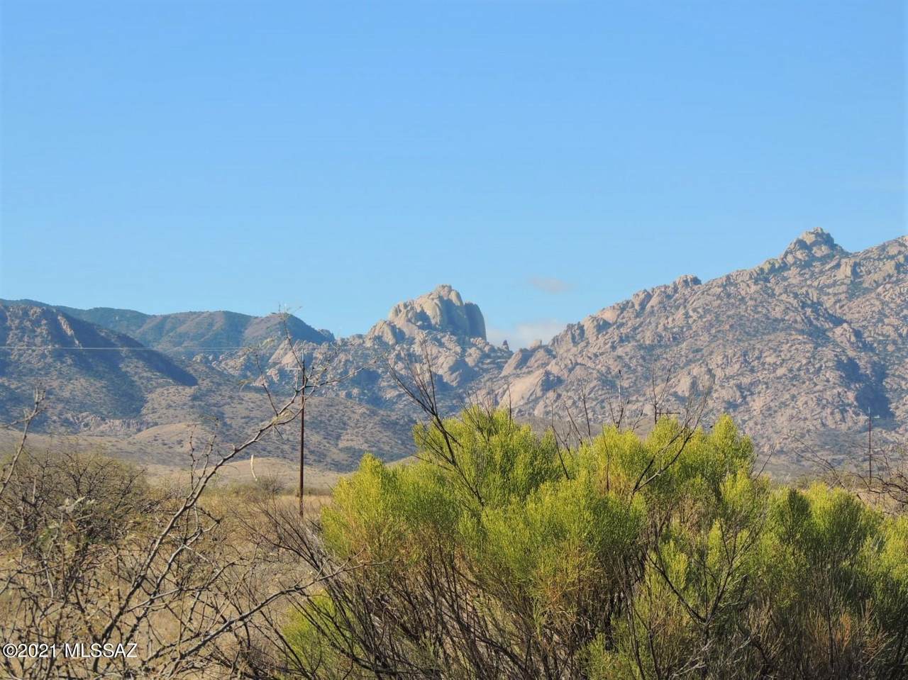 4.48 Acres Ironwood Rd - Photo 1
