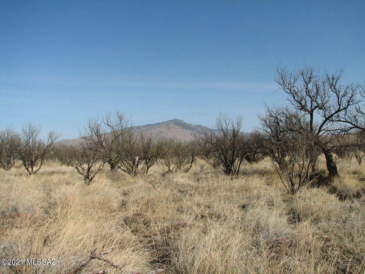 12.36 Acre Diana Drive - Photo 1