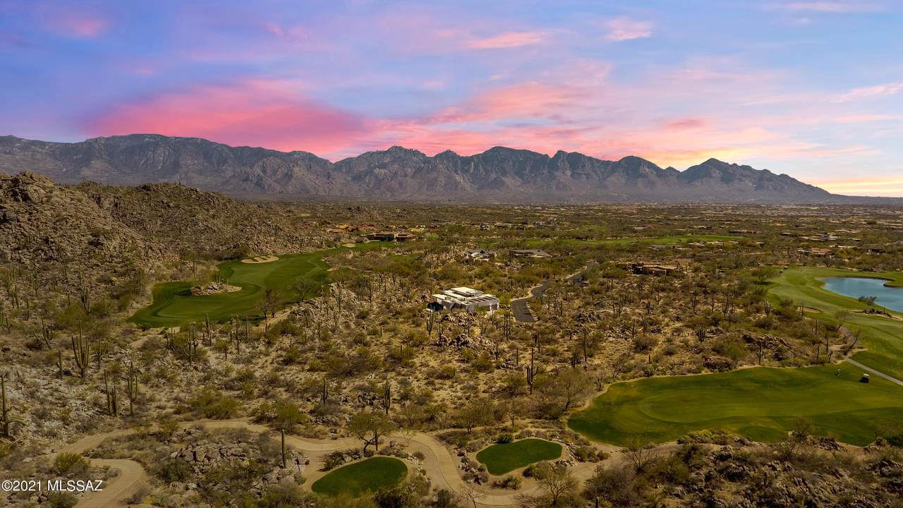 14502 Giant Saguaro Place - Photo 1