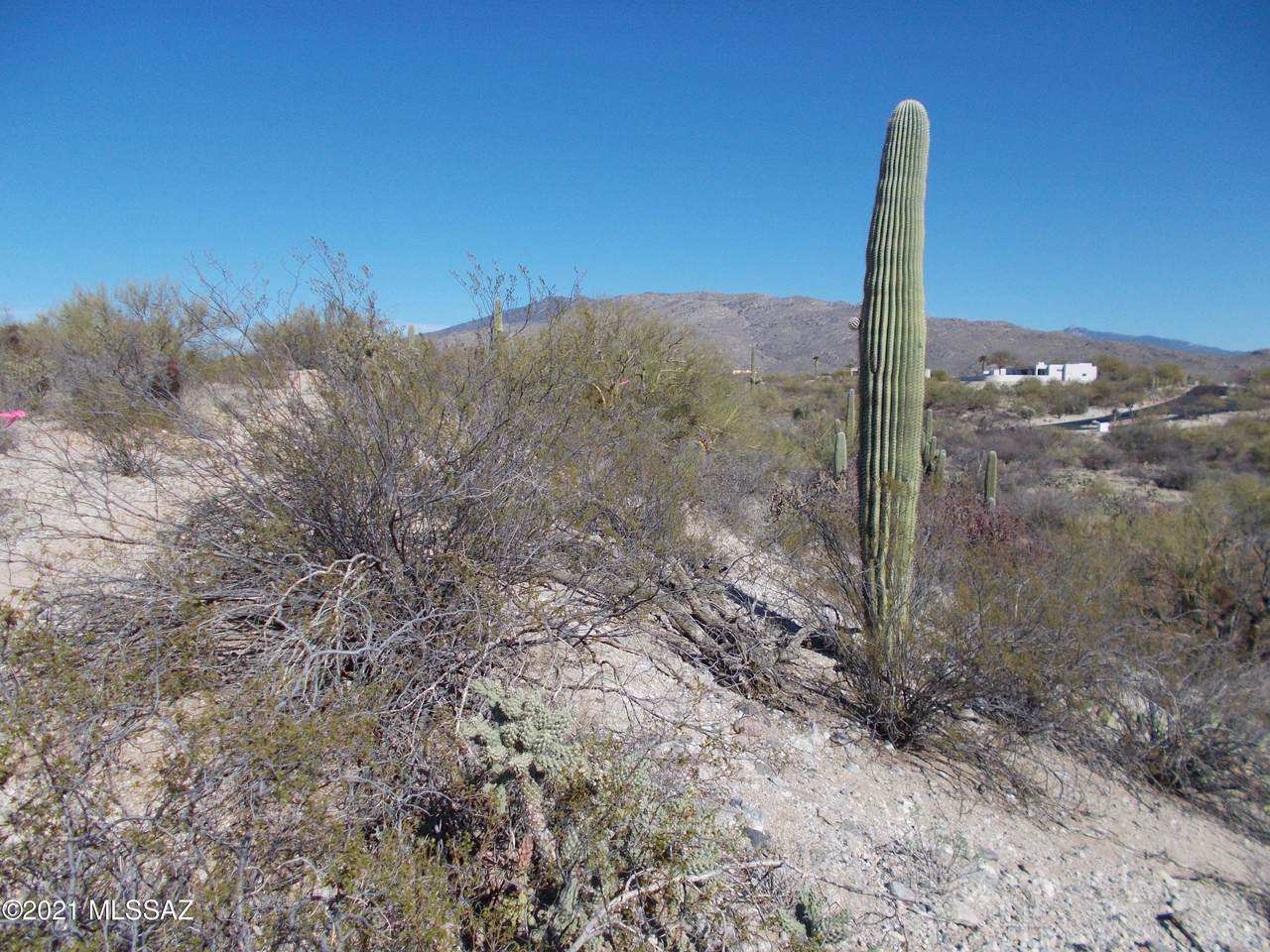 4350 Paseo Melodioso - Photo 1