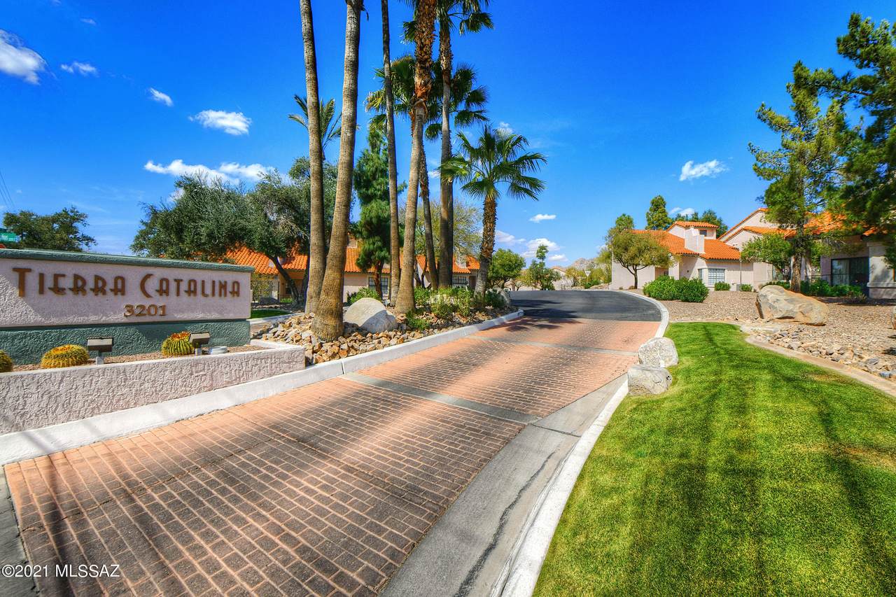 6441 Tierra De Las Catalinas - Photo 1