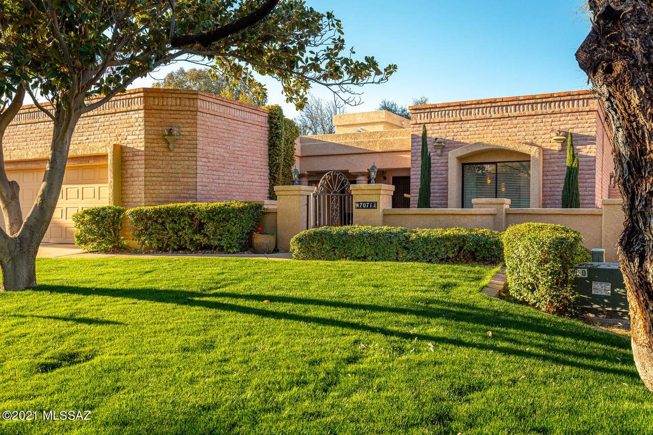 7071 Calle Morera - Photo 1