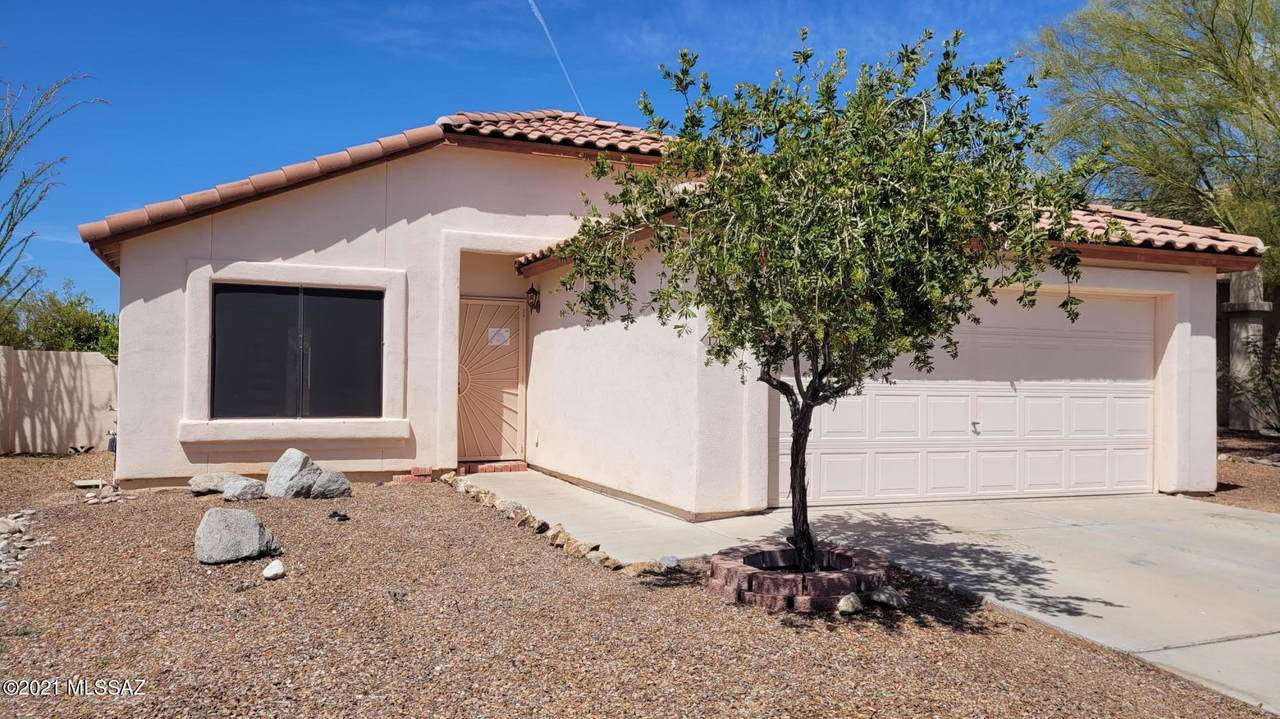 12697 Wild Indigo Drive - Photo 1