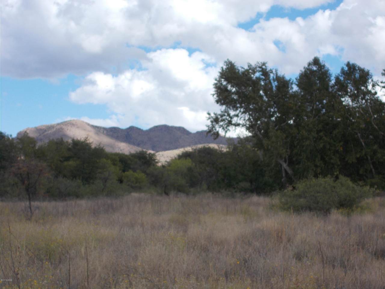 Sunrise Drive - Photo 1