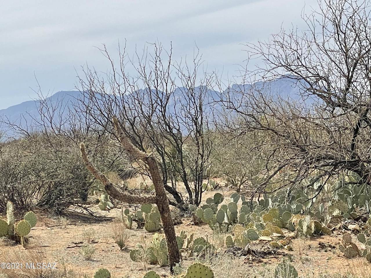 15128 Sierrita Mountain Road - Photo 1