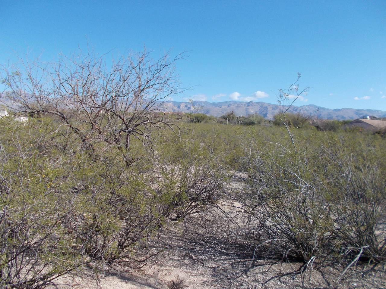 9500 Tanque Verde Road - Photo 1