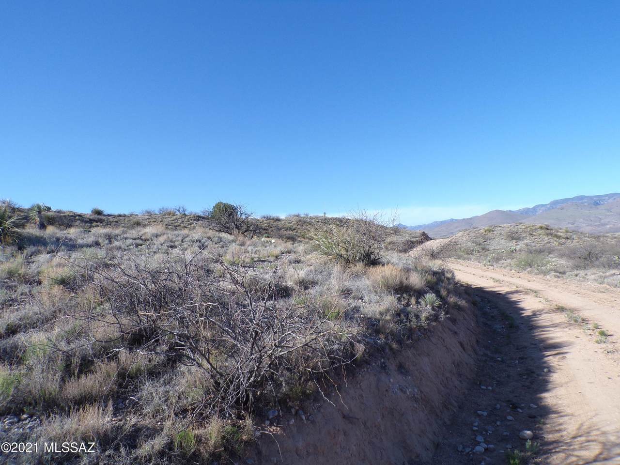 36.13 ac Four Feathers Loop - Photo 1