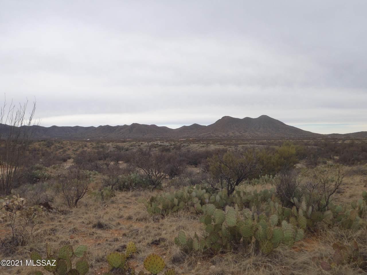 17000 Bloc O J Ranch Road - Photo 1