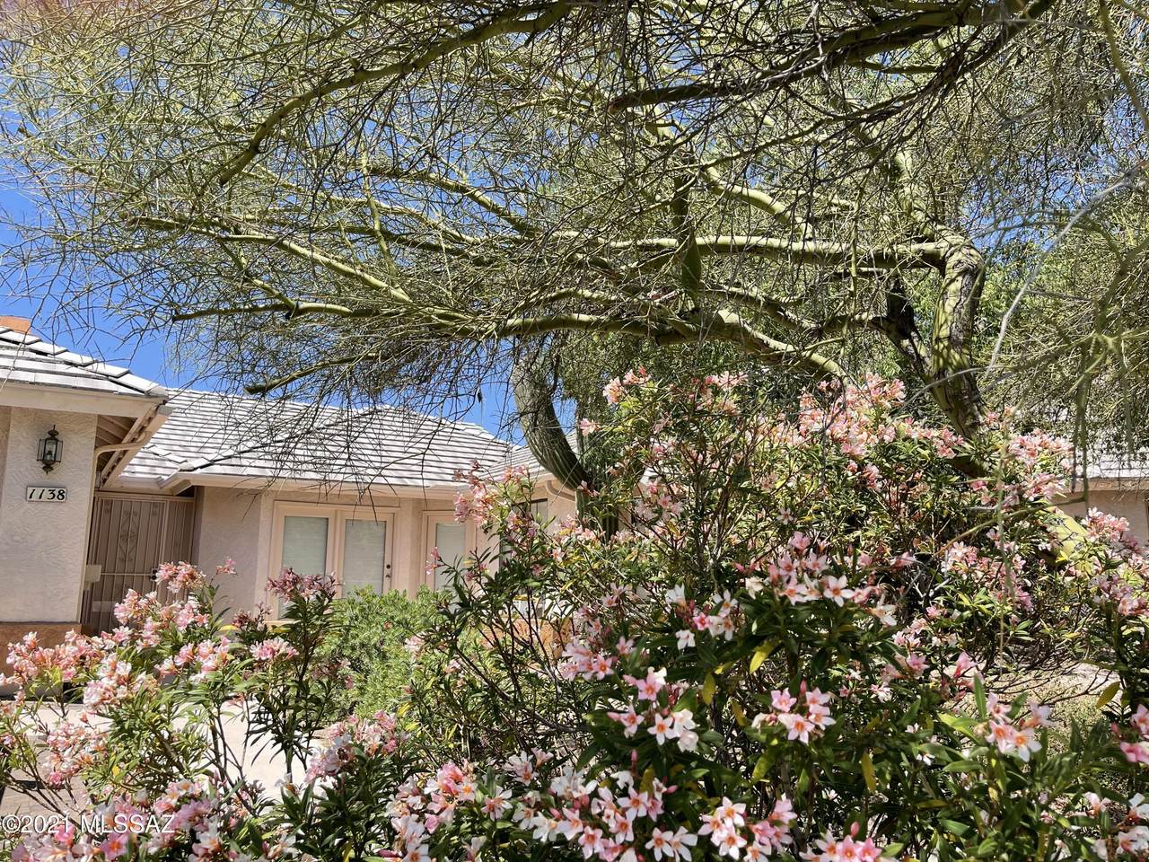 1138 Masters Circle - Photo 1
