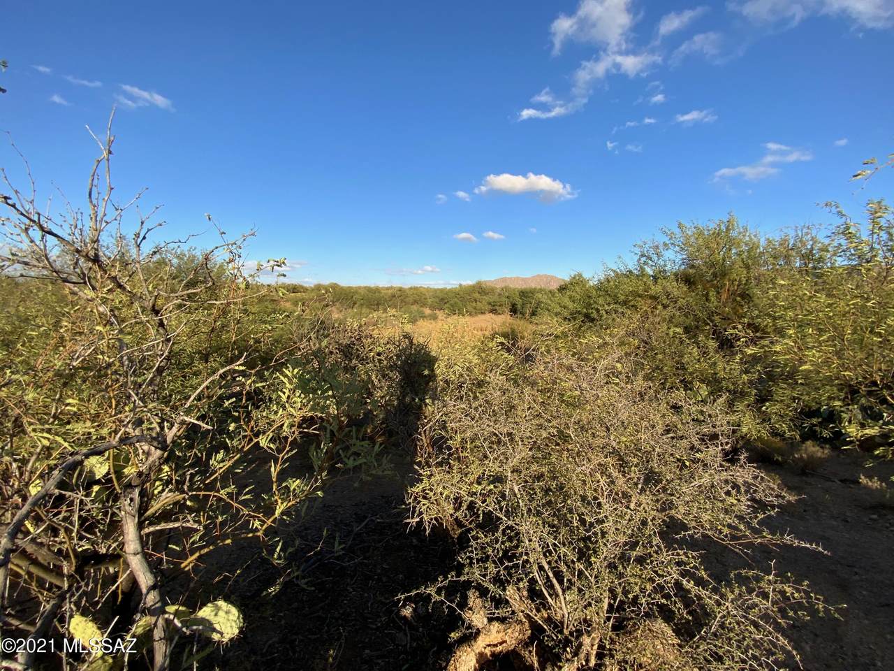 0000 010B No Situs Address - Photo 1