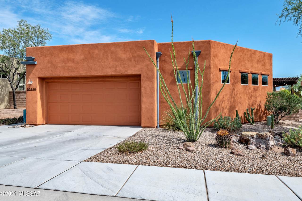 10559 Marchetti Loop - Photo 1