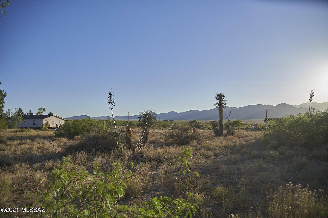 11383 Dill Road - Photo 1