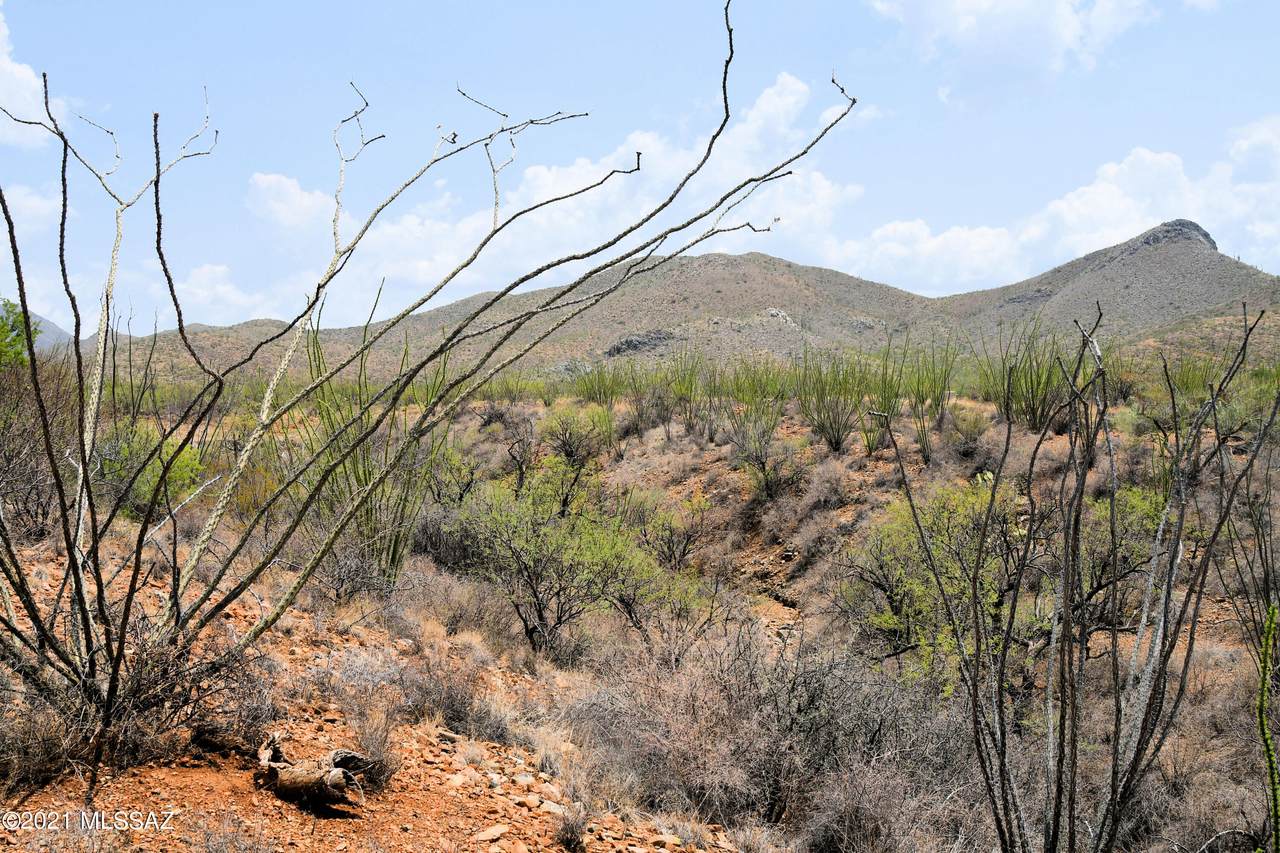0 Ocotillo Rim Trail - Photo 1