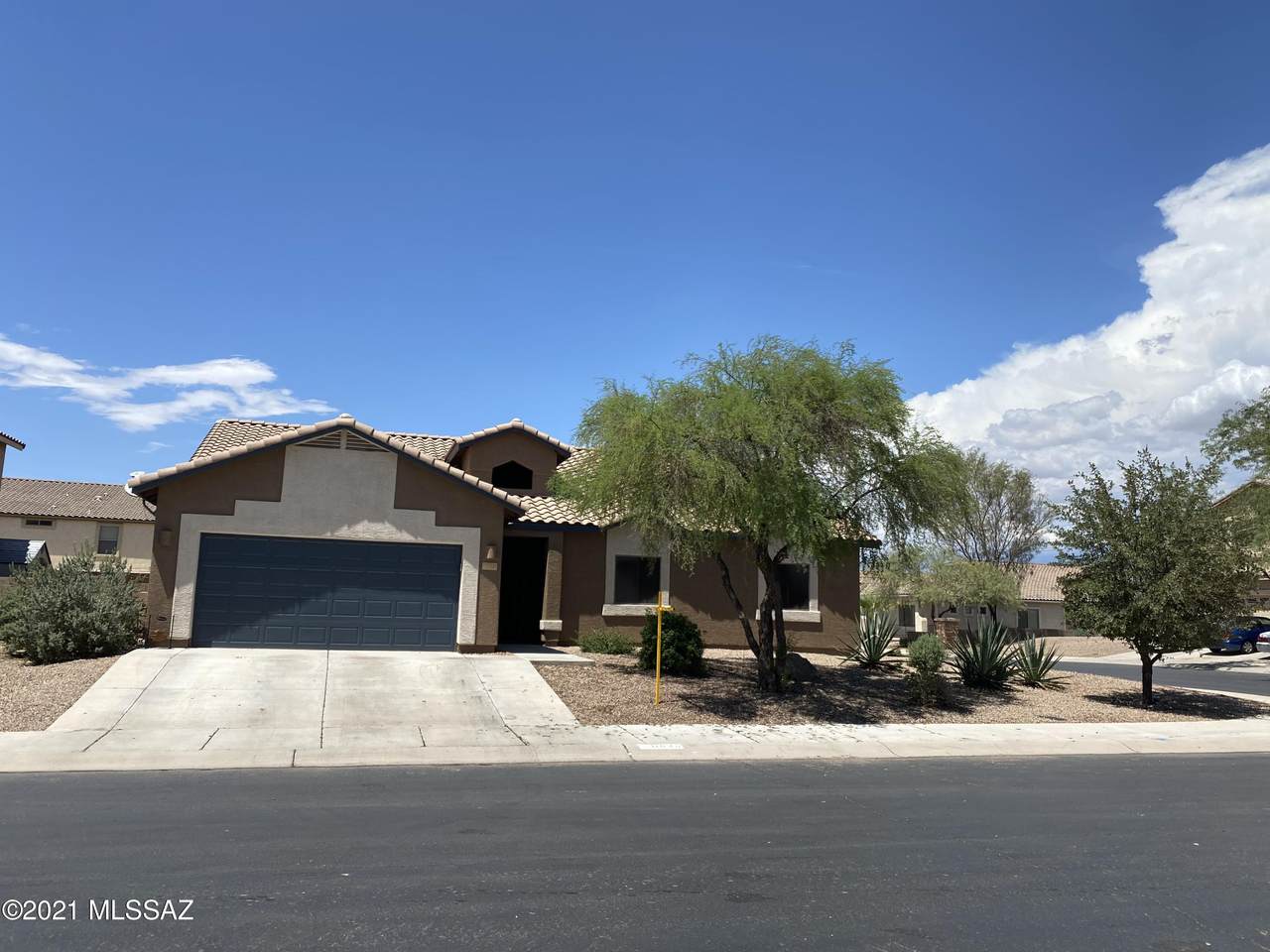 11046 Aplomado Drive - Photo 1