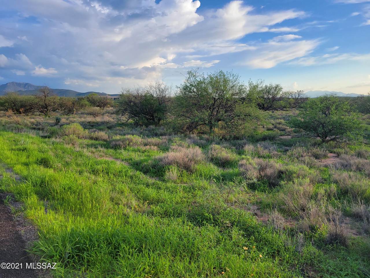 TBD W Horse Ride Loop - Photo 1