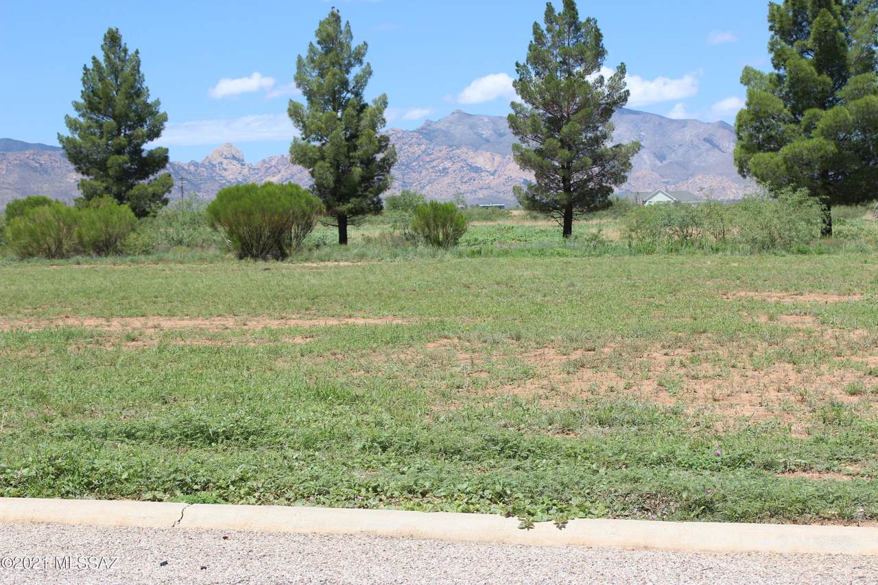 Geneva Estates Road - Photo 1