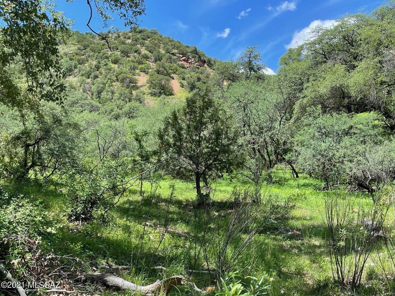 60 Harshaw Creek Road - Photo 1