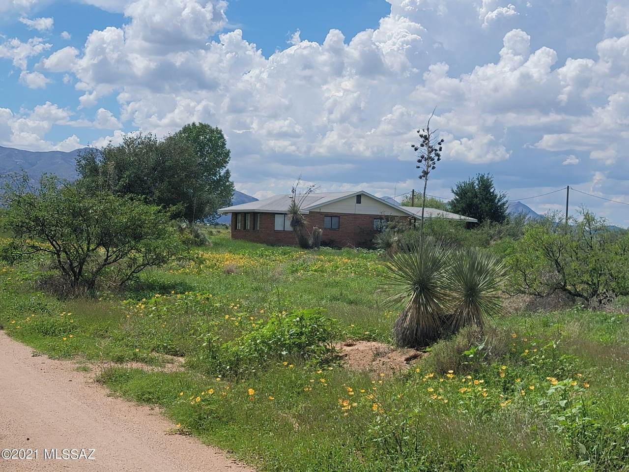 819 Pine Street - Photo 1