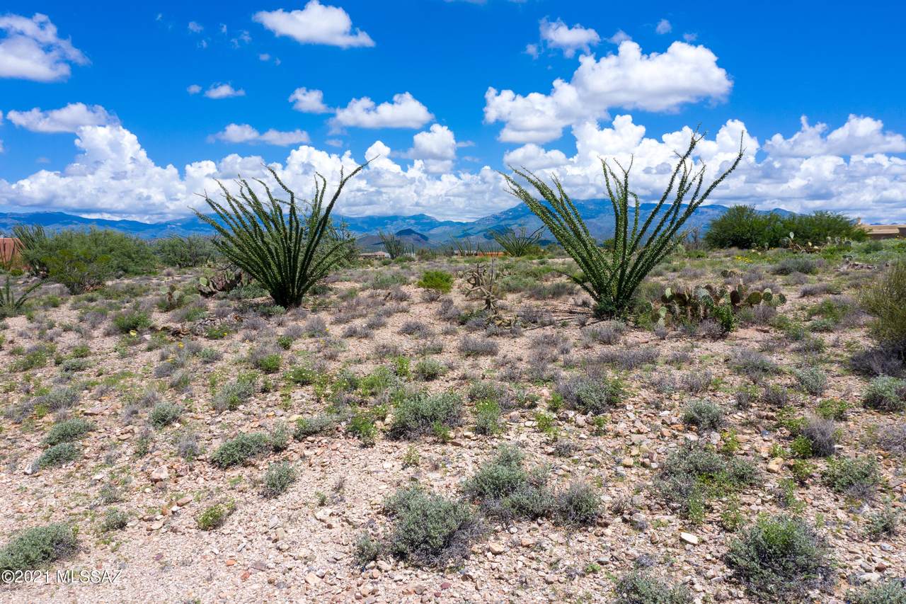 14449 Sands Ranch Road - Photo 1