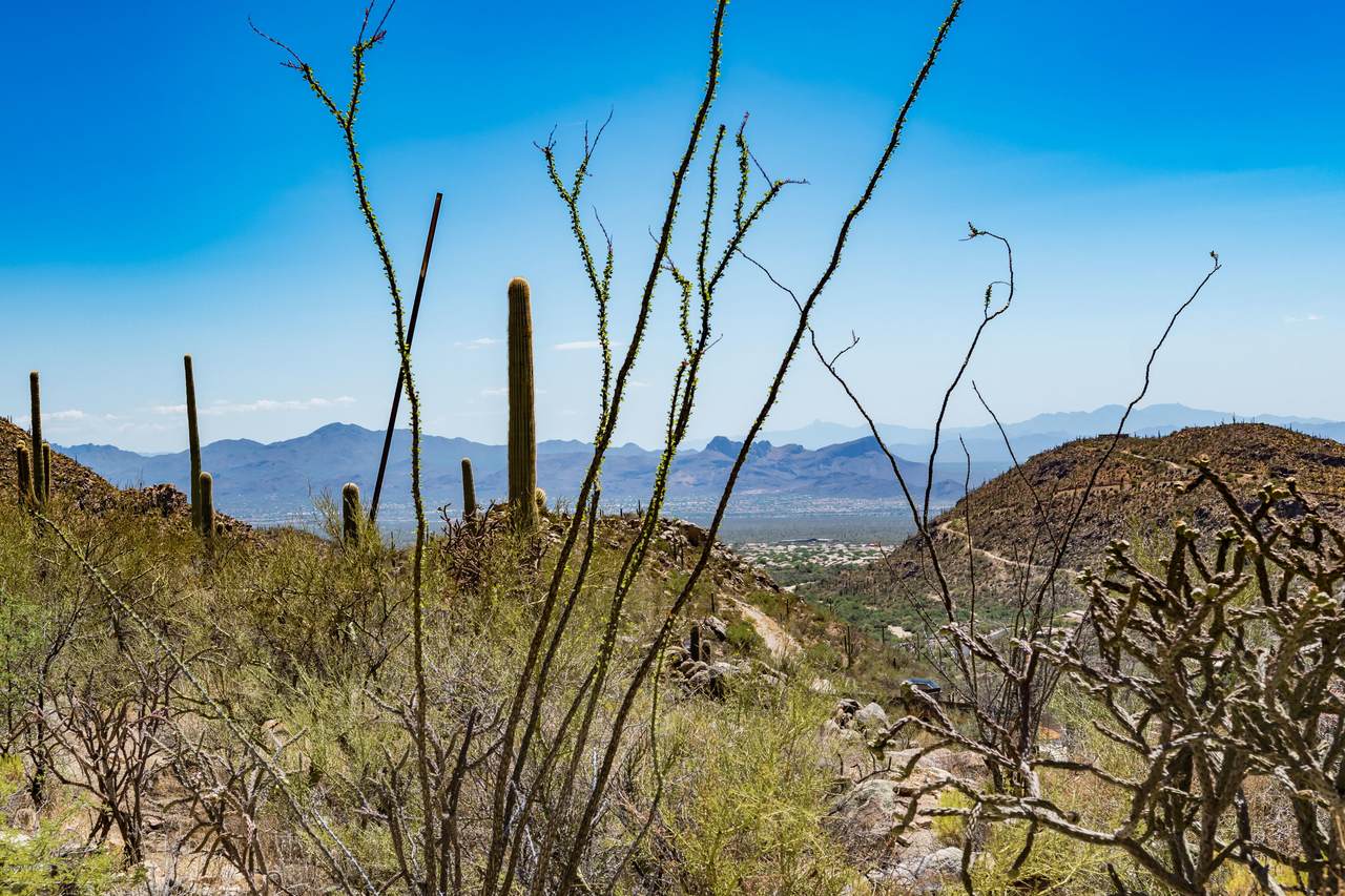 4375 Cush Canyon Loop - Photo 1