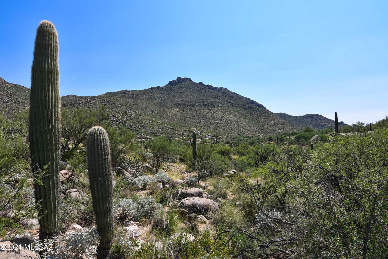 4155 Cayton Mountain Drive - Photo 1