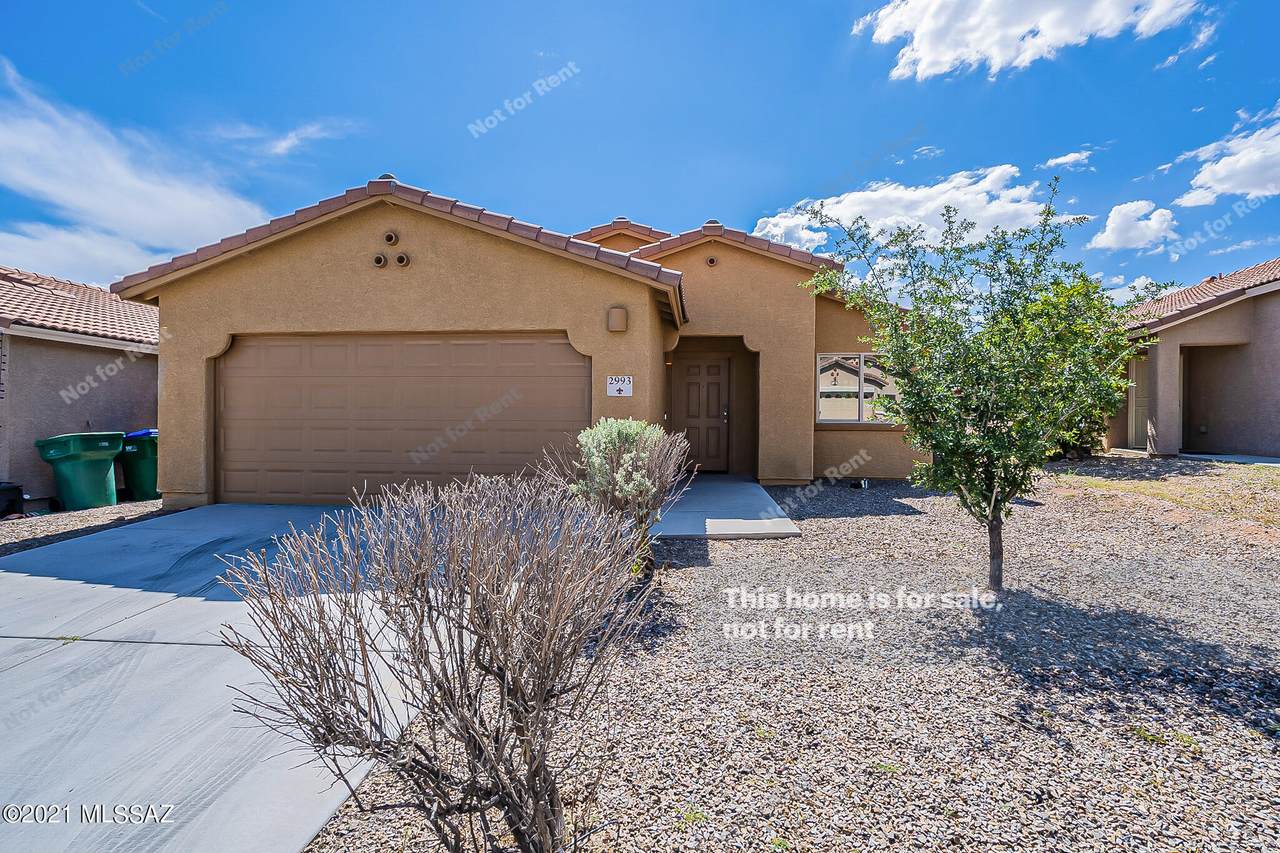 2993 Mountain Dew Street - Photo 1