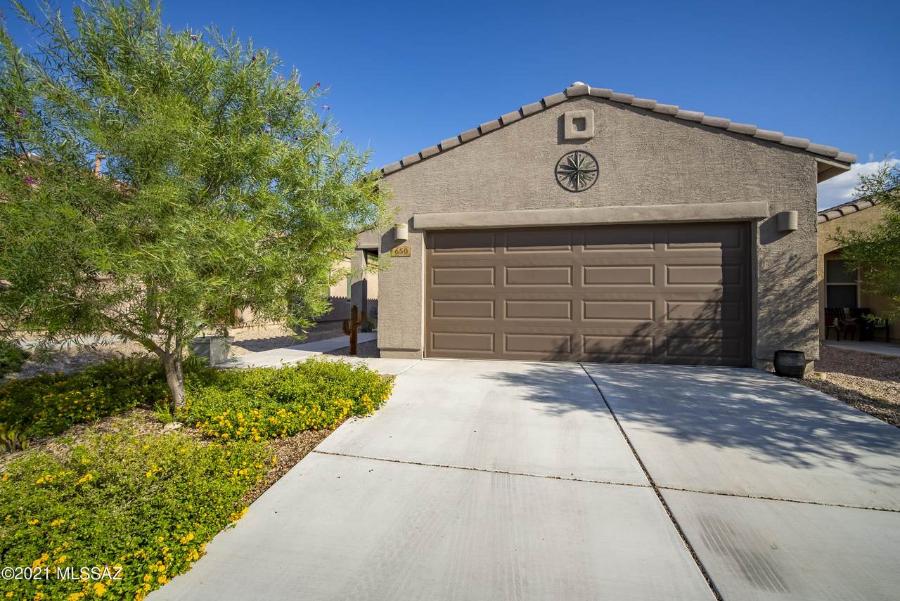 650 Tree Mist Lane - Photo 1