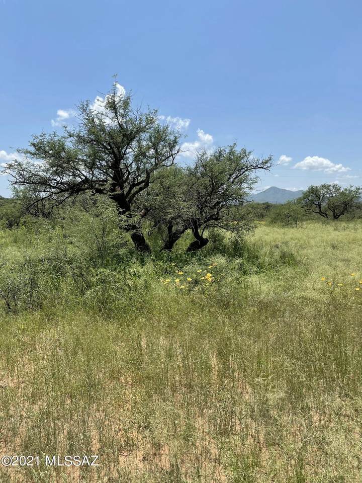 15430 Jalisco Road - Photo 1