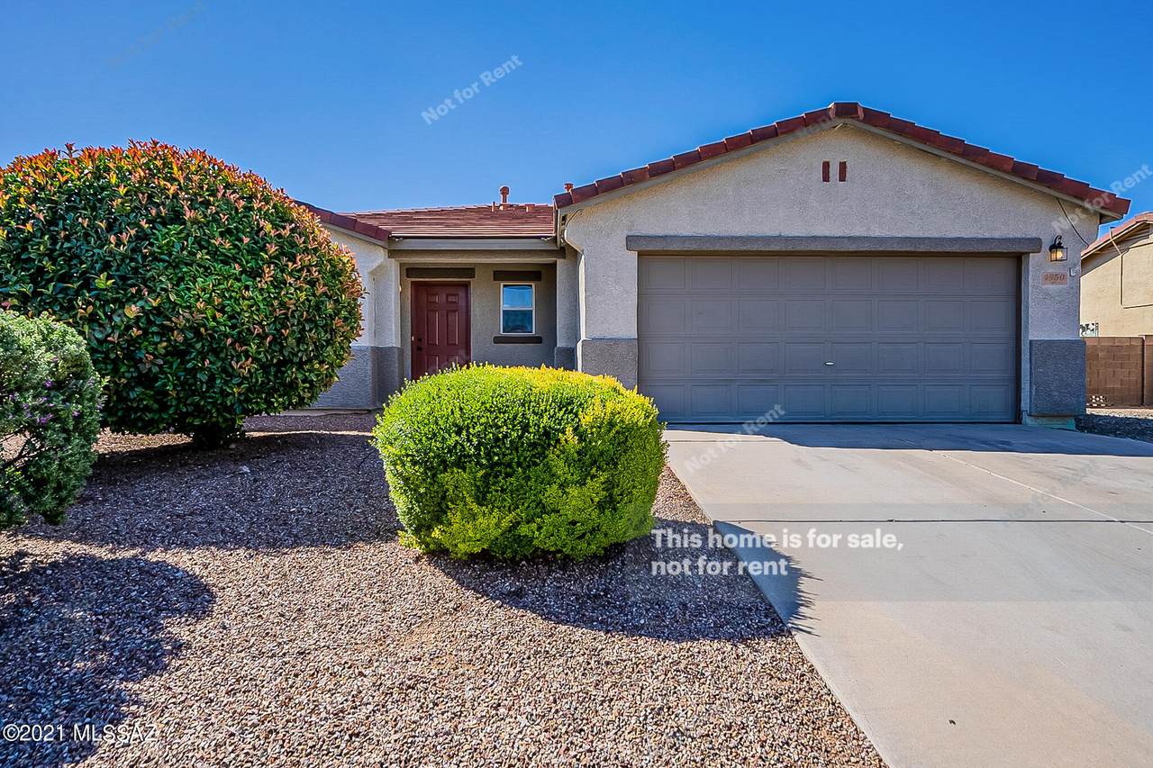 4950 Butterweed Drive - Photo 1