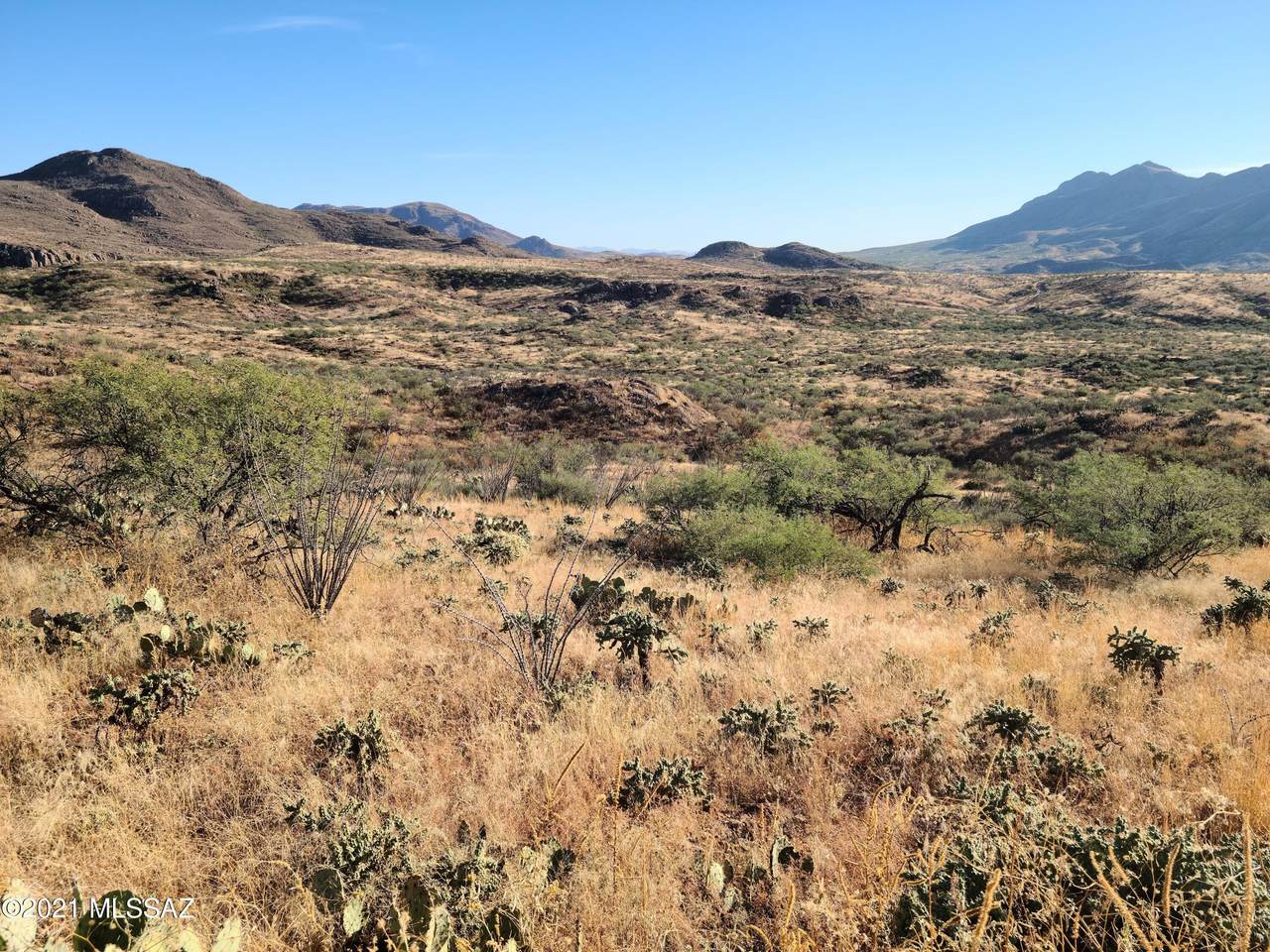 https://bt-photos.global.ssl.fastly.net/tucson/1280_boomver_1_22130013-2.jpg