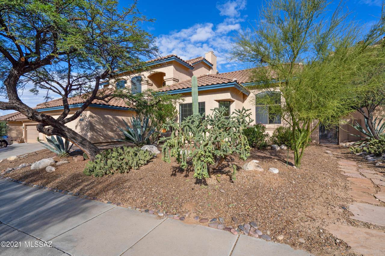 1591 Sonoran Desert Drive - Photo 1