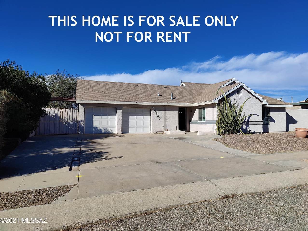 4830 Ferret Drive - Photo 1