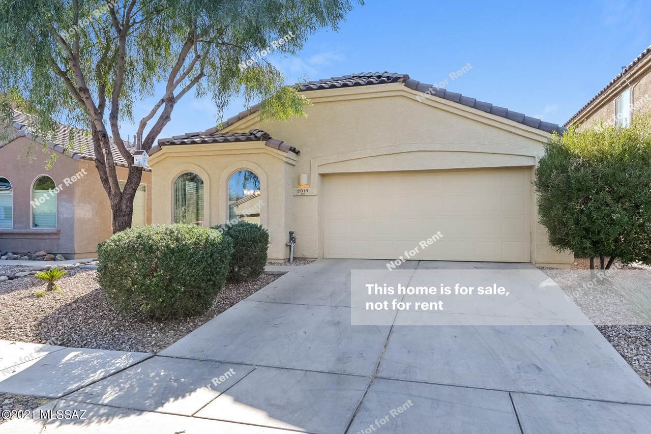 2019 Mountain Pointe Drive - Photo 1