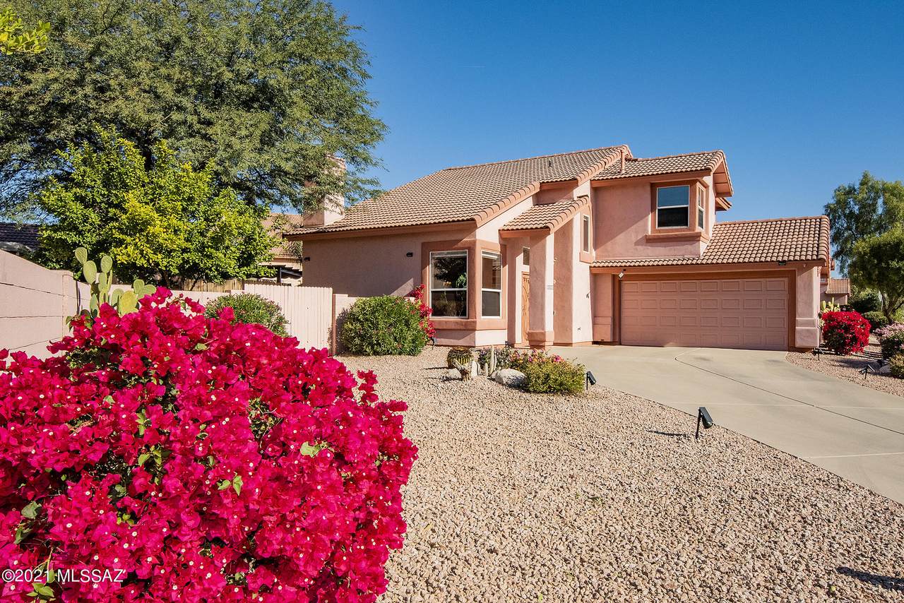 3672 Pony Trail - Photo 1