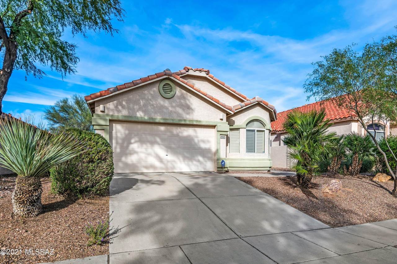 8989 Laurie Ann Drive - Photo 1