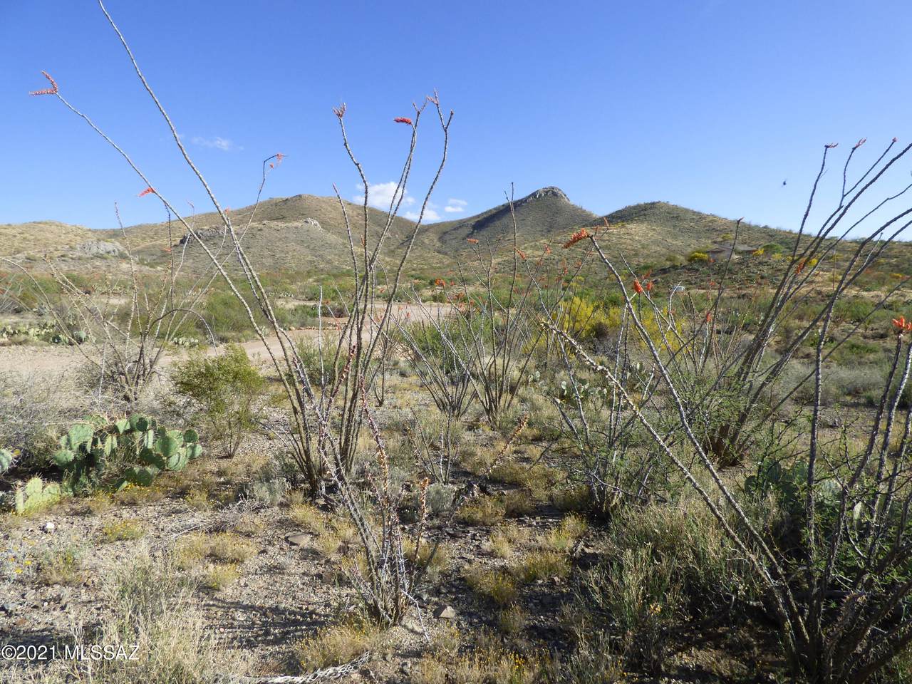 9905 Ocotillo Rim Trail - Photo 1